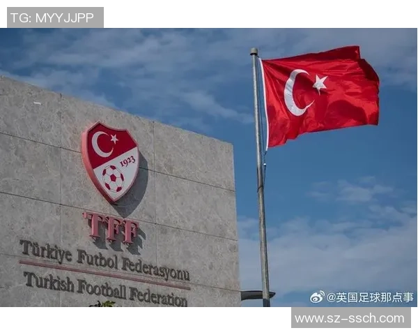 土耳其国脚埃尔马利谈涉赌：5年前曾投注；从未违背足球品德